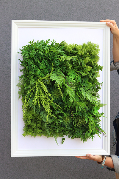 atrakcyjna jednostronna rama Sukulenty Hotels Forest, wym.77x57cm