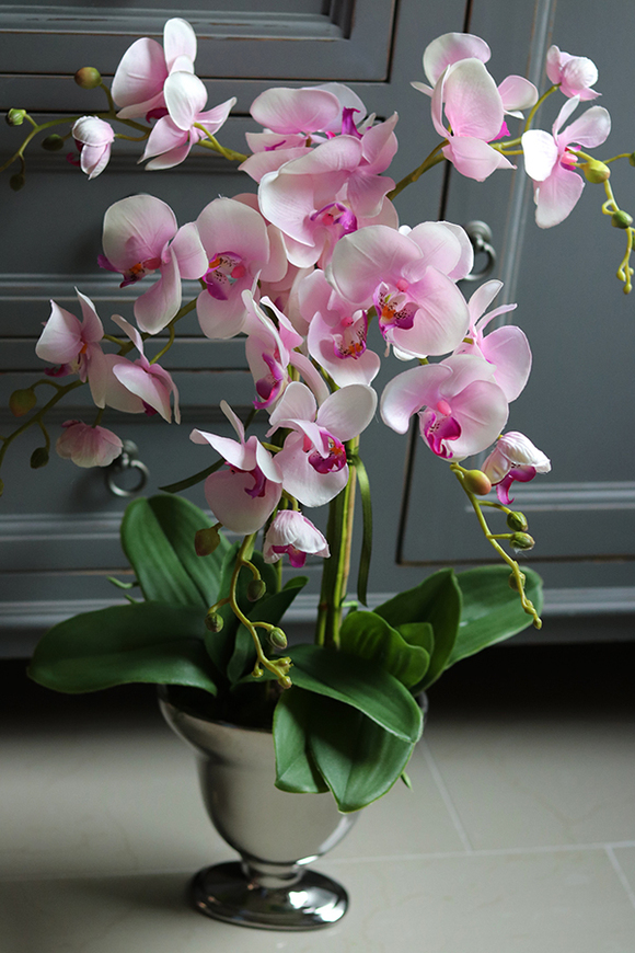 Różowa Poświata, storczyk w lustrzanej donicy, wys.67cm 