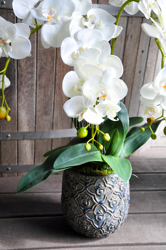 sztuczny storczyk Irmina w kolorze naturalnej bieli, wys.70cm