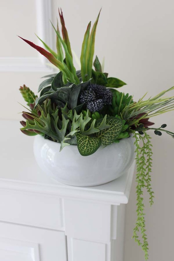 Atena, kompozycja sukulenty w okrągłej donicy, wys.30cm