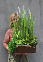 Anya piękna kompozycja Trawy & Sukulenty w lustrzanej donicy, wys.73cm