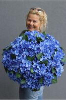 bardzo bogaty kosz hortensji, Blue Velina, wym.48x50cm 