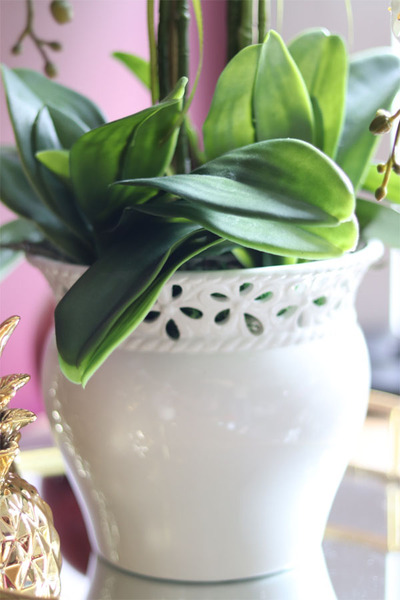 Mirena, storczyk w białej koronkowej donicy, wys.56cm