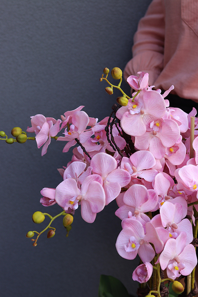 bardzo duży storczyk Madleine w kawowej donicy, wys.120cm