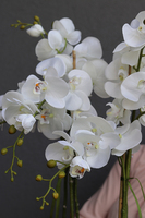 Golden Cooler, ekskluzywny sztuczny storczyk w złotym coolerze, wys.80cm