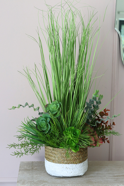 Passadena, kompozycja traw i sukulentów w koszu, wym.64x34cm