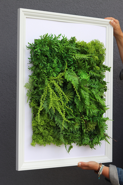 atrakcyjna jednostronna rama Sukulenty Hotels Forest, wym.77x57cm