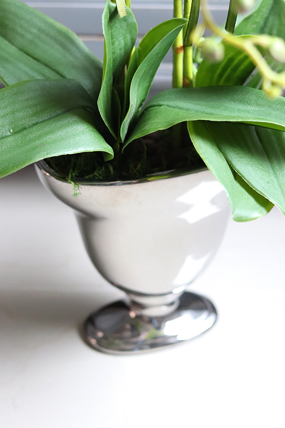 Różowa Poświata, storczyk w lustrzanej donicy, wys.67cm 