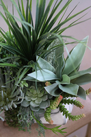 Marbello Big, efektowna kompozycja sukulenty, wys.55cm