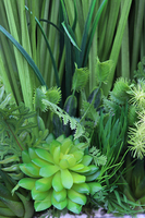 Lodda, nowoczesna kompozycja traw i sukulentów, wys.78cm