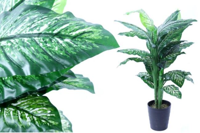 Difenbachia, sztuczne roślina w osłonce / donicy, wys.130cm