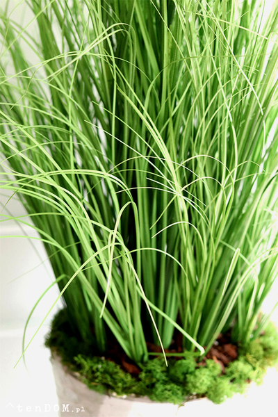 Belito Saute, trawa sztuczna w gąbce do twojej donicy, wys.110cm