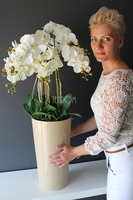 średni storczyk Mediolan w beżowej donicy, wys.100cm