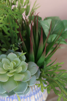 Lamano 2, efektowna kompozycja Sukulenty w ceramicznym naczyniu, wys. 30cm