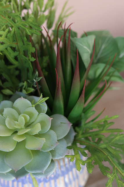 Lamano 2, efektowna kompozycja Sukulenty w ceramicznym naczyniu, wys. 30cm