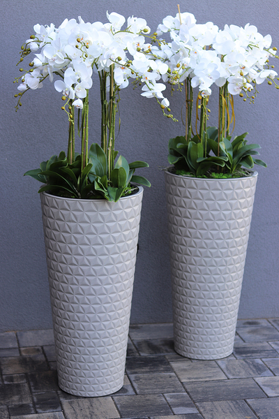 bardzo duży storczyk w beżowo - szarej donicy, Taupe Grande, wys.144cm