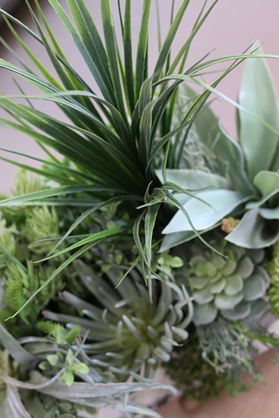 Marbello Big, efektowna kompozycja sukulenty, wys.55cm