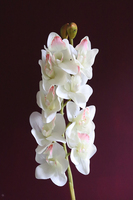 gałązka kwiatowa, gumowy storczyk / orchidea Cymbydium Krem, dł.79cm