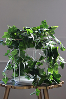 kompozycja klatka z bluszczem, Gardenia, wys.39cm 