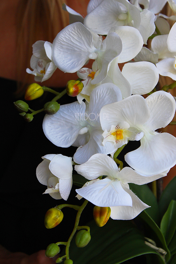 uroczy sztuczny storczyk w zdobionej donicy Kedra wys.43cm