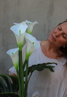 Renata, kompozycja nagrobna w kwadratowym naczyniu, wys.80cm