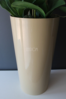 średni storczyk Mediolan w beżowej donicy, wys.100cm