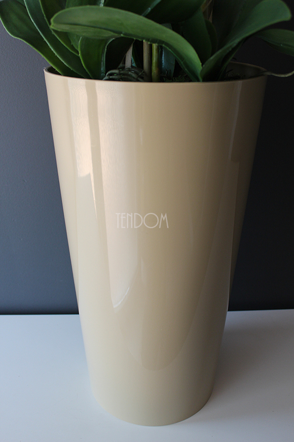 średni storczyk Mediolan w beżowej donicy, wys.100cm