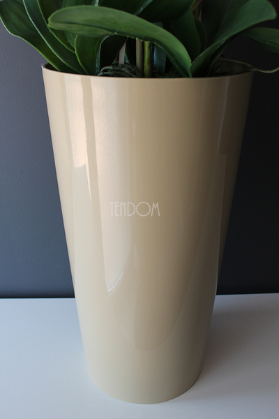 średni storczyk Mediolan w beżowej donicy, wys.100cm