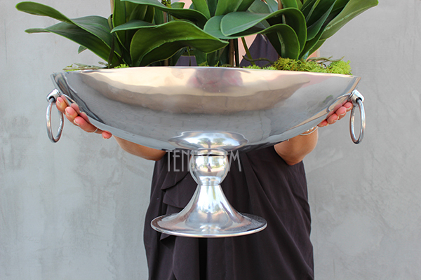 bardzo duży storczyk w eleganckim pucharze Alladino 2, wys.68cm