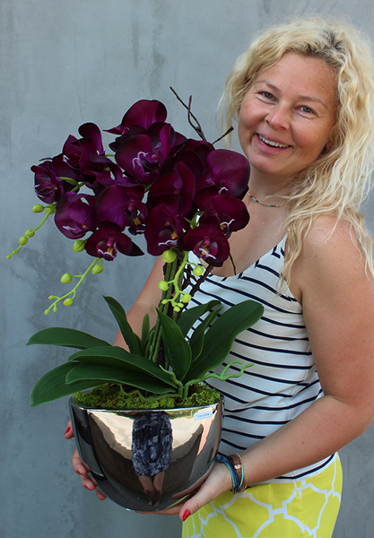 Cinderella Irys, gumowy storczyk w srebrnej donicy, wys.58cm