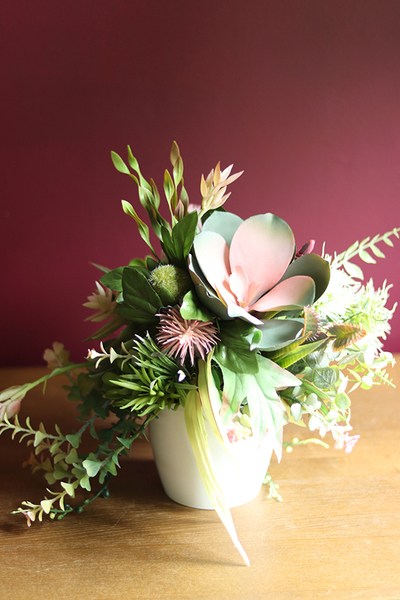 Albertina, kompozycja z sukulentami, wym.27x27cm