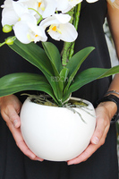 uroczy sztuczny storczyk w pięknej donicy Lanasa, wys.49cm