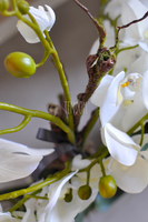 storczyk w ceramicznej, beżowej donicy Elegance 1, wys.77cm