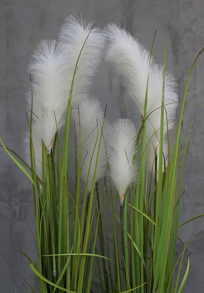 Amaro, kompozycja w szarej donicy Fiberglass z trawami, wys.168cm