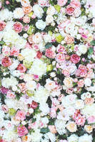 jednostronna ściana kwiatowa, Maria Antonina, wym. 50x50cm