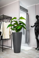 Della donica antracyt 49x90cm