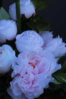 Kallena, komplet kompozycji nagrobnych, kompozycja + bukiet