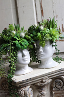 efektowna kompozycja sukulenty w głowie, Crazy Head White, wys.28cm