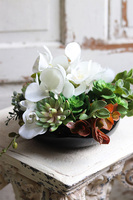 dekoracja Dekoria Sukulenty & Orchidea w czarnej misie, wys.20cm