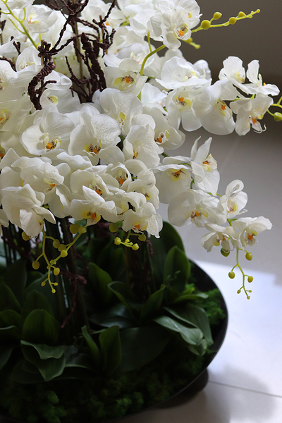 bardzo duży gumowy storczyk Fire Grande Silicone, wys.80cm