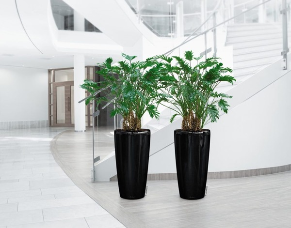 Rondo, wysoka donica z nawadnianiem, czarna, wym.56x32cm