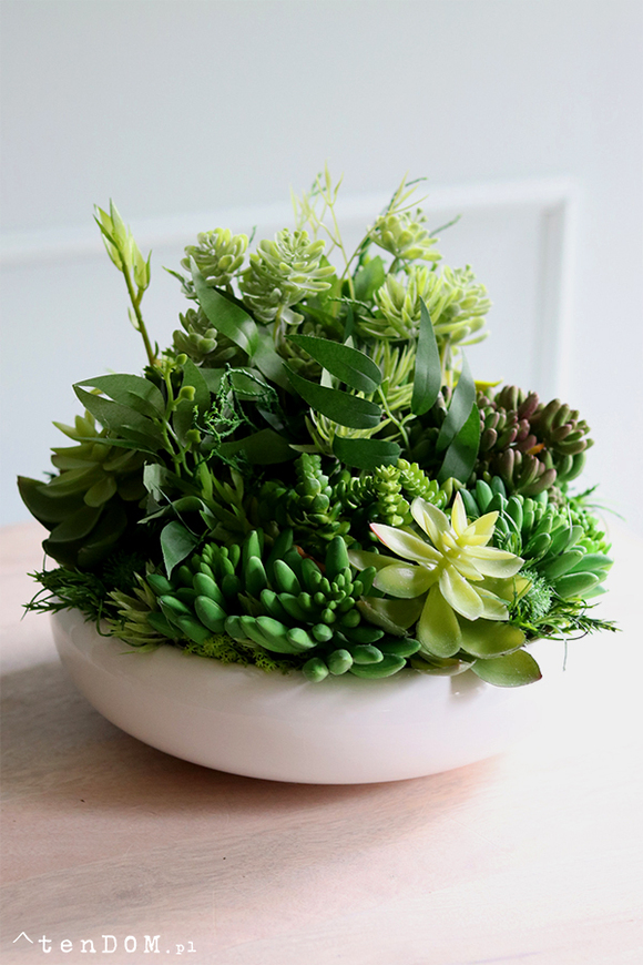 Gerrano 2, kompozycja sukulenty w białej misie, wym.27x30cm