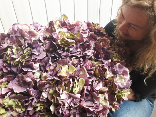 bogaty kosz ze szlachetnymi hortensjami Exclusive Violet Ocean  65x60cm