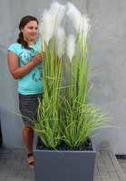 Amaro, kompozycja w szarej donicy Fiberglass z trawami, wys.168cm