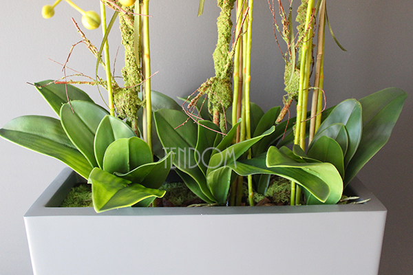 duży storczyk Marco Grande Grey, wys.120cm 