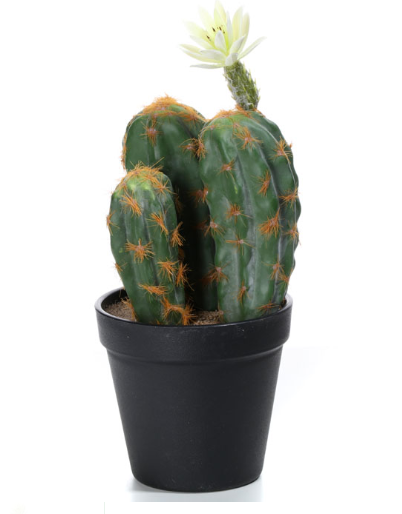 Dominico, kaktus, wysokiej jakości sztuczna roślina, wys.25cm