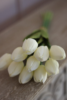 bukiet wiosennych tulipanów White, 10szt. dł.42cm