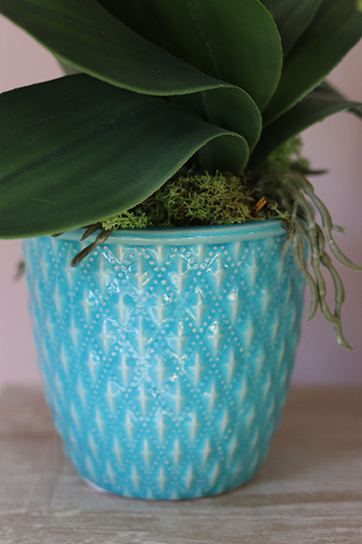 Turkusowa Melodia, wyjątkowy storczyk w oryginalnej donicy, wys.60cm