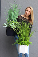 Canada, sztuczna trawa z sukulentami w kremowej donicy, wys.75cm