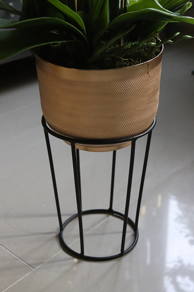 Goldie Peranoma, storczyk w złotej donicy na stojaku, wys.63cm